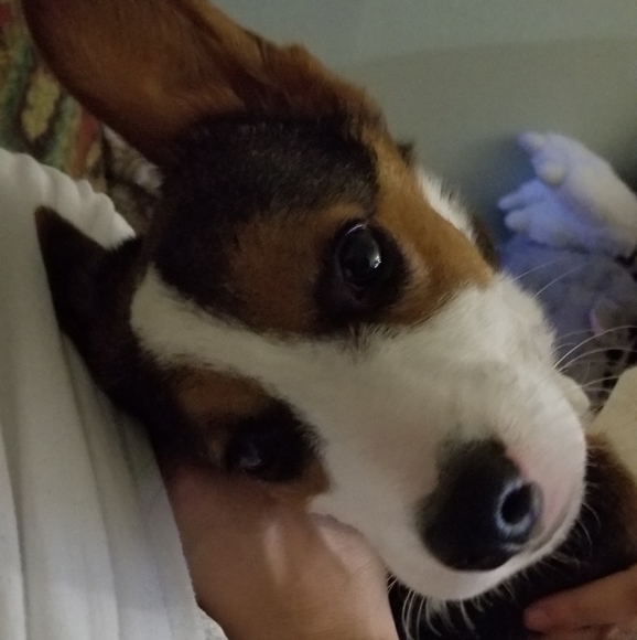 Meet your Posher, Monica - Picture 6 of 6